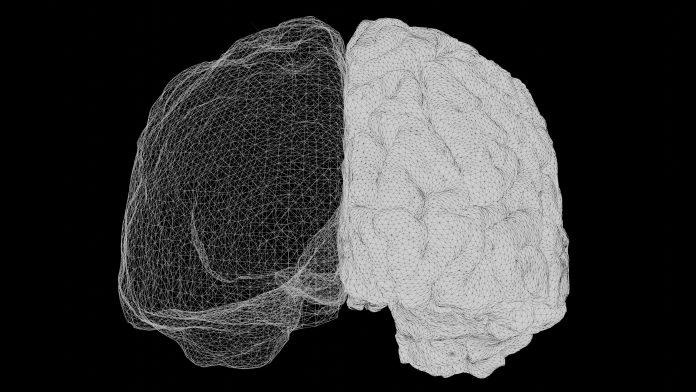 neurowetenschap-en-leren